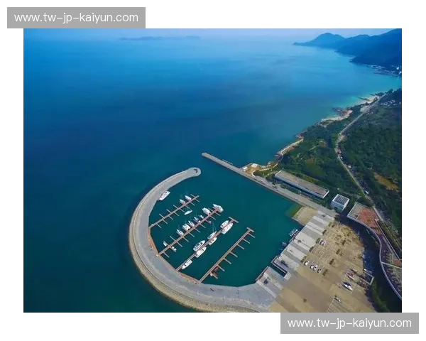 开云体育入口中心——引领体育娱乐的全新时代