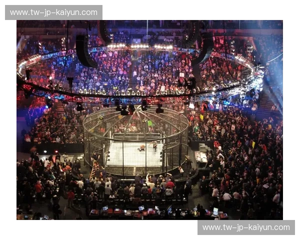 UFC替补：从边缘到巅峰的暗流