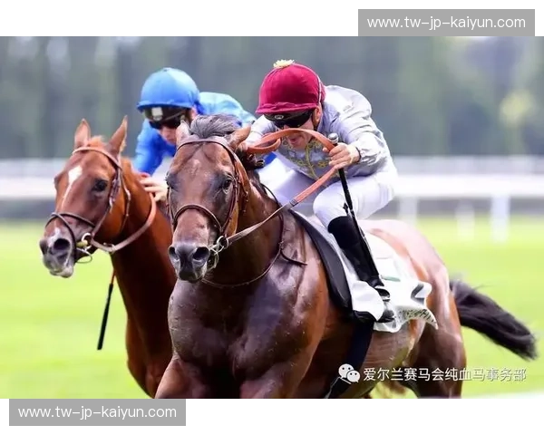 赛马排名：在竞争中找到自己的领先轨道