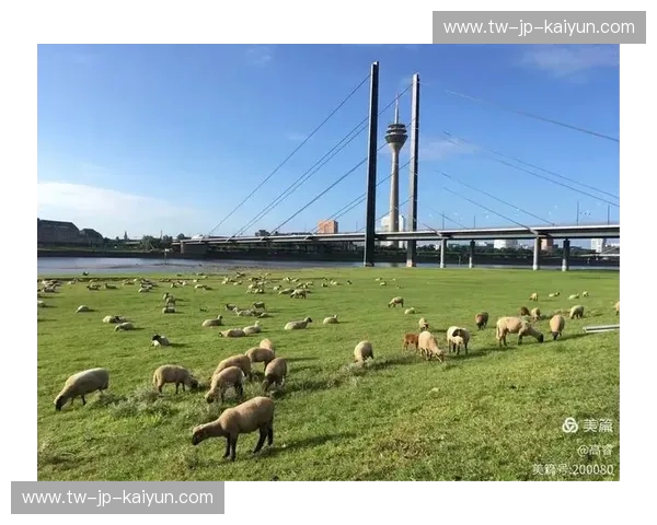 莱茵河畔的冰与火之歌：当“山羊”遇上“斑马”，谁才是鲁尔区的灵魂宿敌？